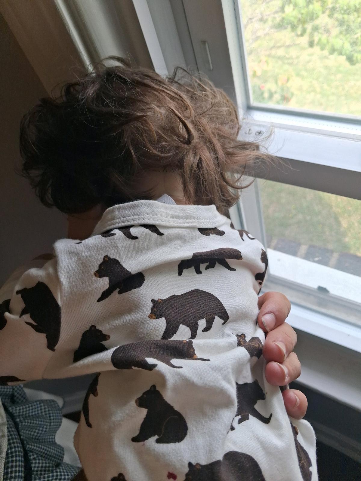Reborn dog no paperwork pacifier included - Canton, Ohio - FleaMarketBay