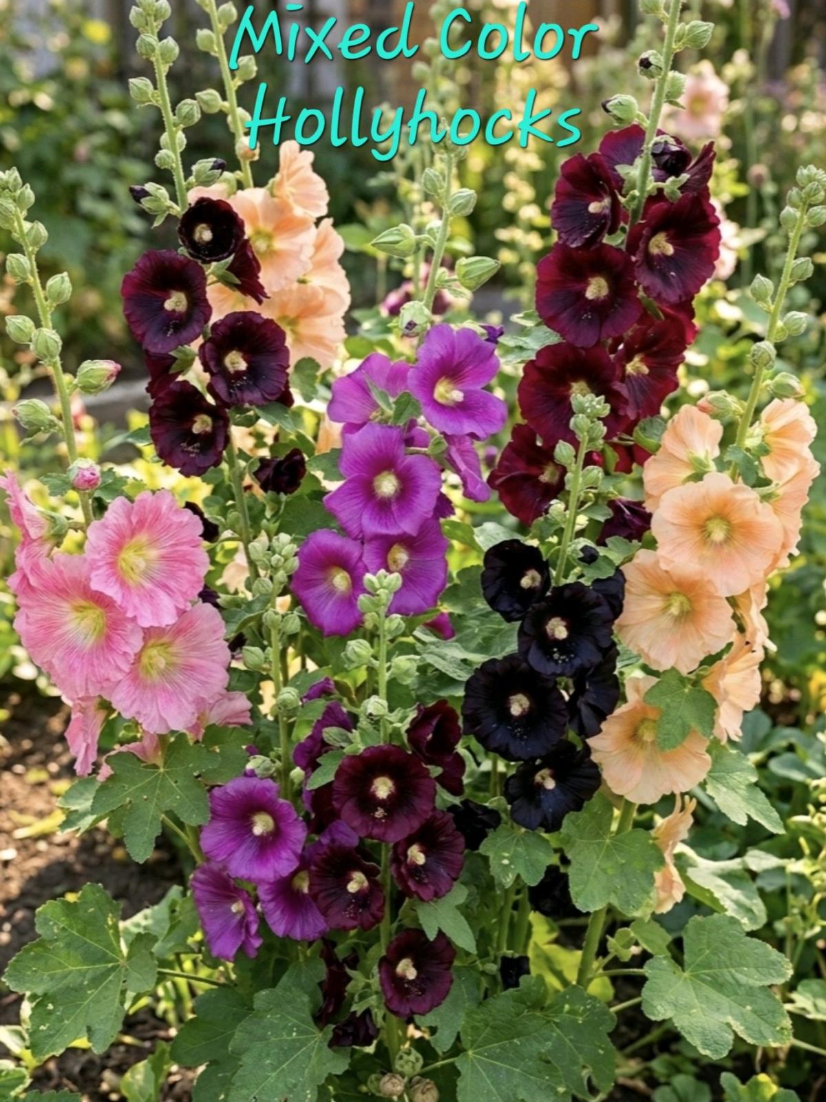End of Season Plant Sale - Everett, Washington - FleaMarketBay