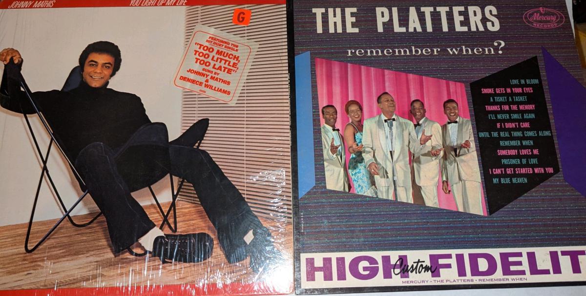 Soul Lot  Johnny Mathis The Platters  2 Pc Vinyl Record Lot - New Bern, North Carolina - FleaMarketBay