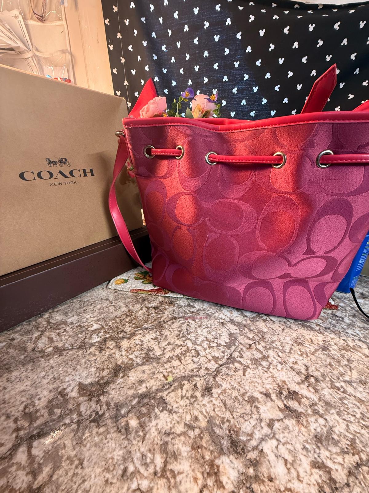 Coach signature jacquard drawstring bucket bag with silverto - Stephenville, Texas - FleaMarketBay