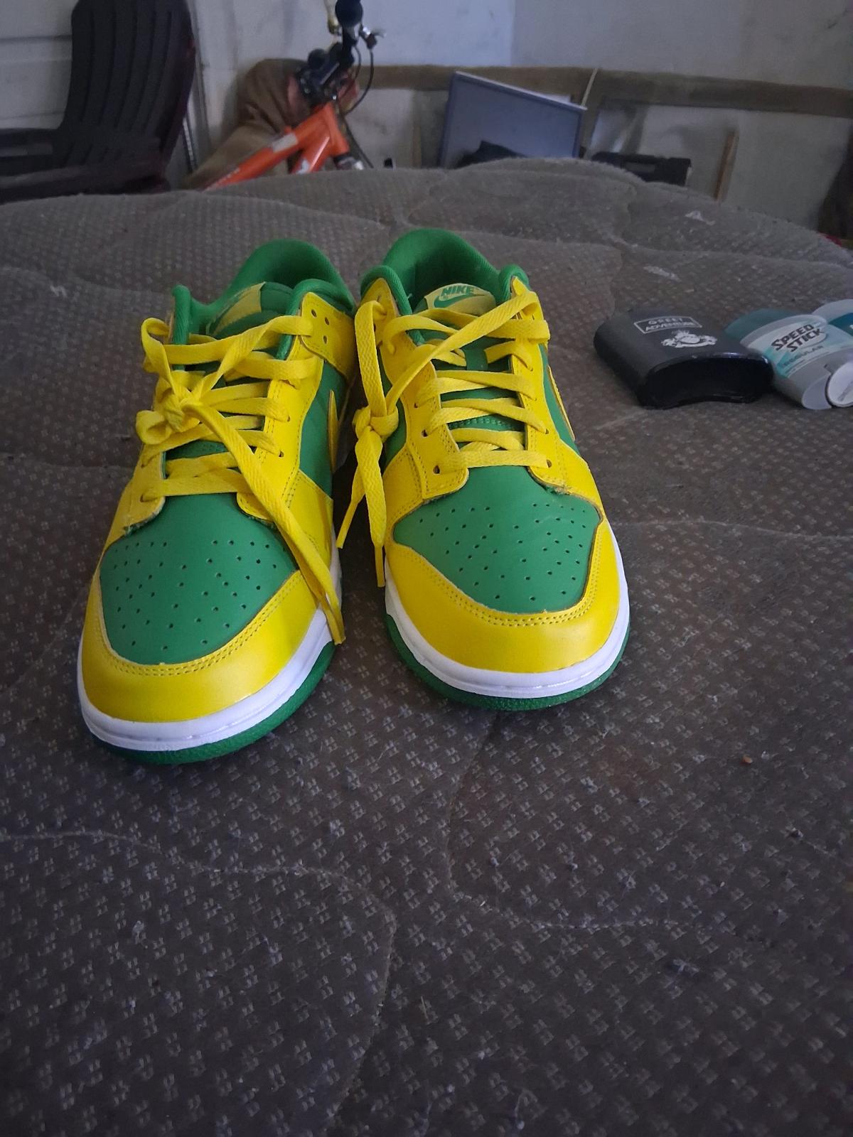 Nike dunks rare color way on size 10 - Saint Louis, Missouri - FleaMarketBay