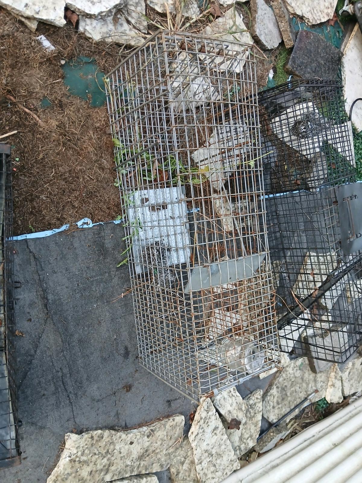 3 live traps - Jacksonville, North Carolina - FleaMarketBay