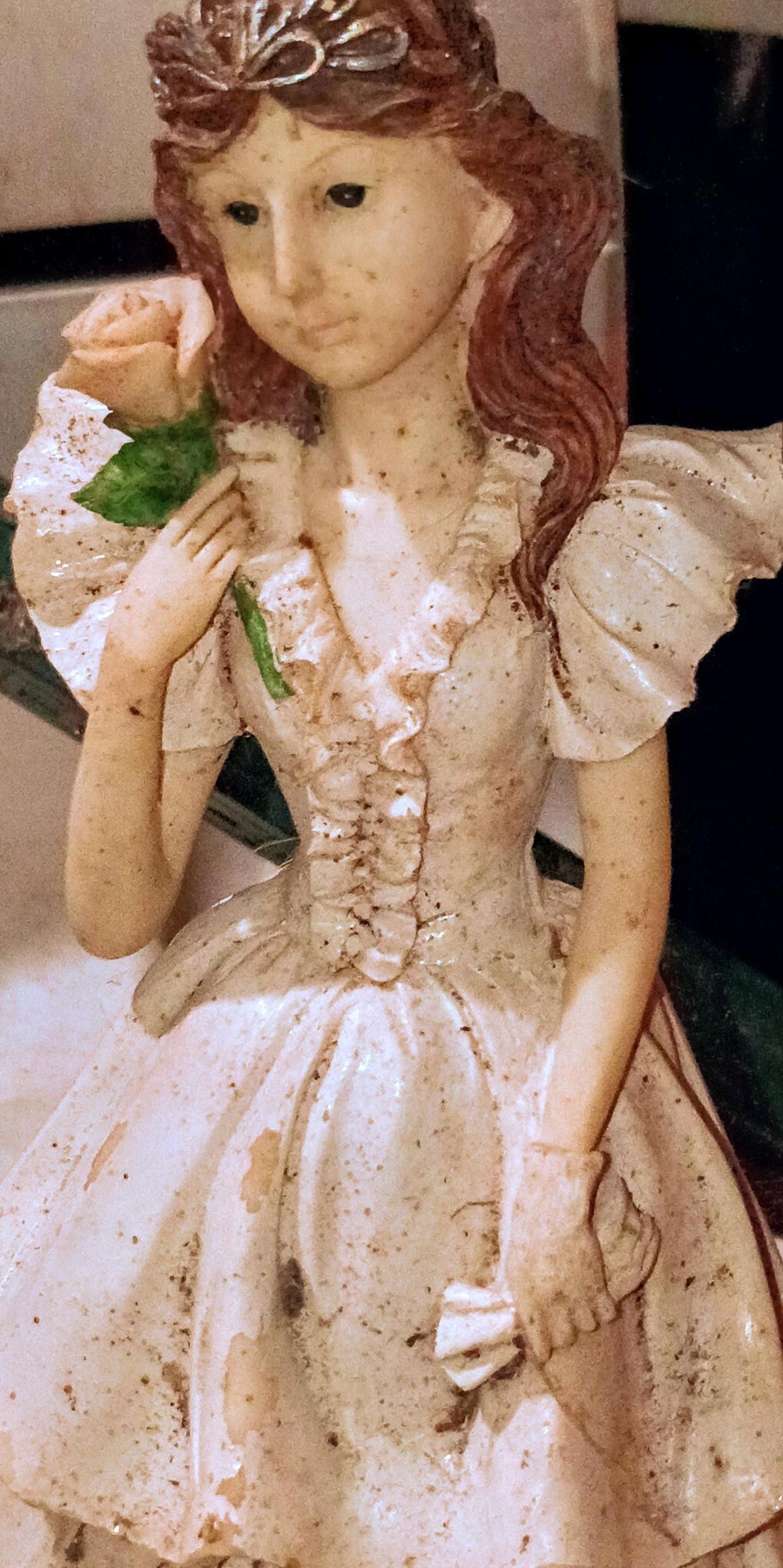 Girl In A Long Fancy Dress - Alliance, Ohio - FleaMarketBay