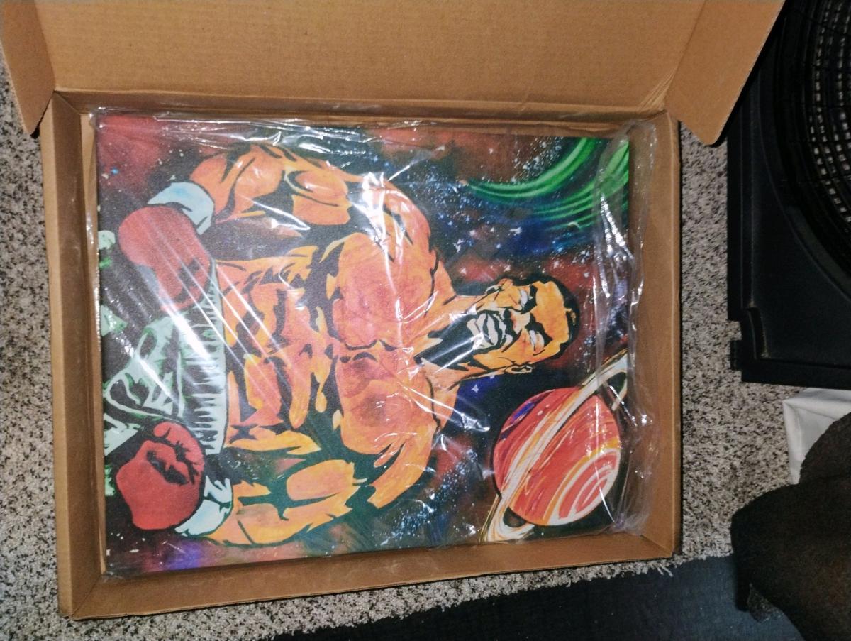 Mike Tyson canvas - Houston, Texas - FleaMarketBay