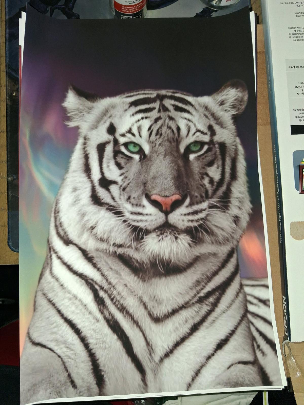 Animal 11x17 Framed 35 each Shipping on Facebook or Ebay - Houston, Texas - FleaMarketBay