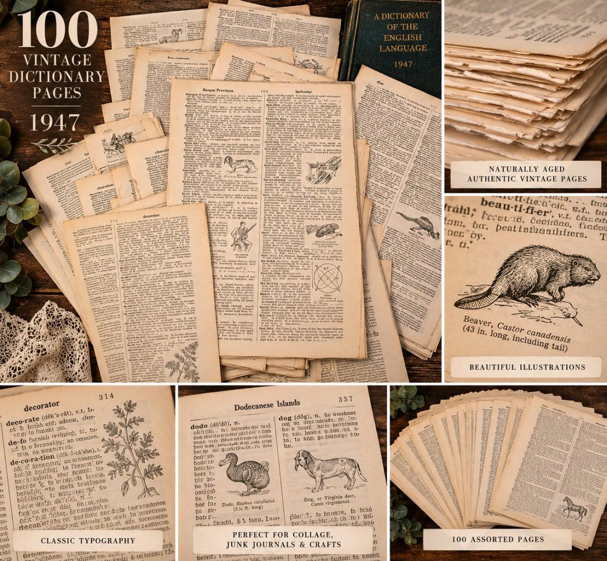 100 pages  Vintage 1947 Dictionary Ephemera - Summerville, South Carolina - FleaMarketBay