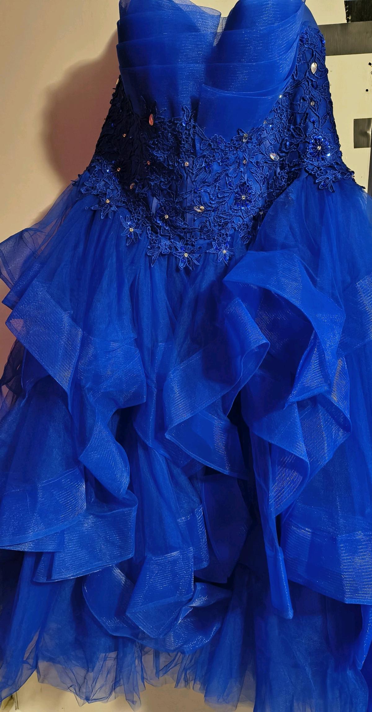 Plus size Ballgown or Quinceanera Dress - Darlington, South Carolina - FleaMarketBay