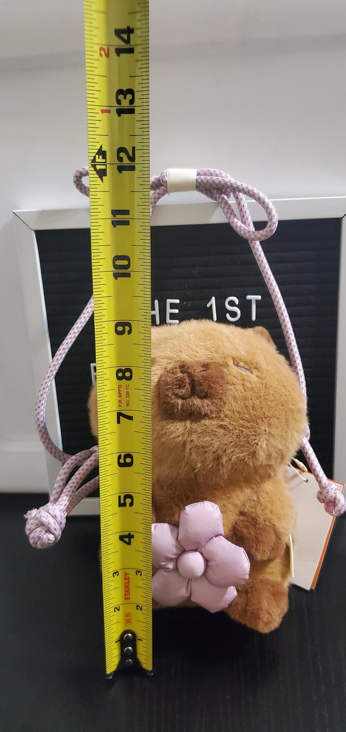 ZARA Capyfun Plush Mini Bag - Ozone Park, New York - FleaMarketBay