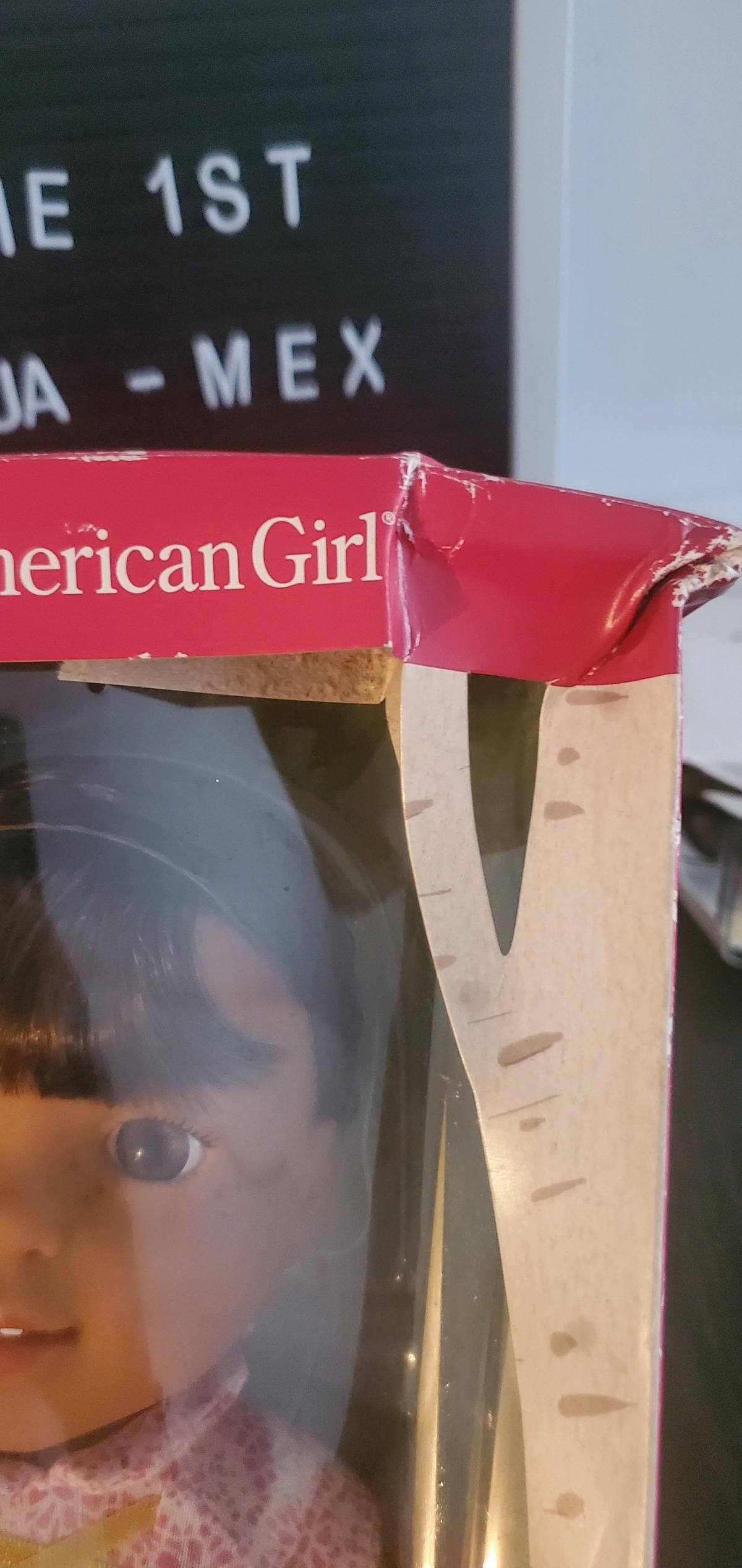American Girl WellieWishers Ashlyn Doll - Ozone Park, New York - FleaMarketBay