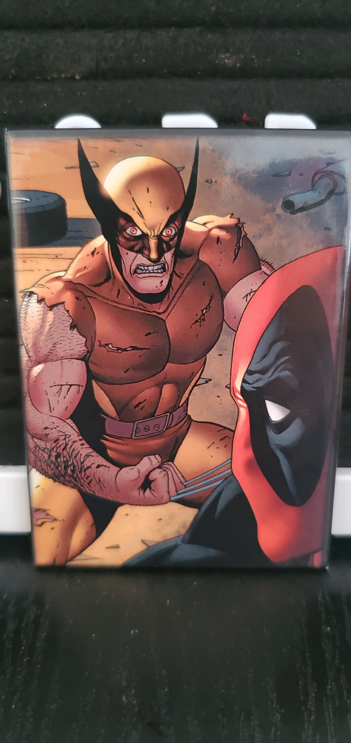 Marvel Wolverine and Deadpool Magnet - Ozone Park, New York - FleaMarketBay