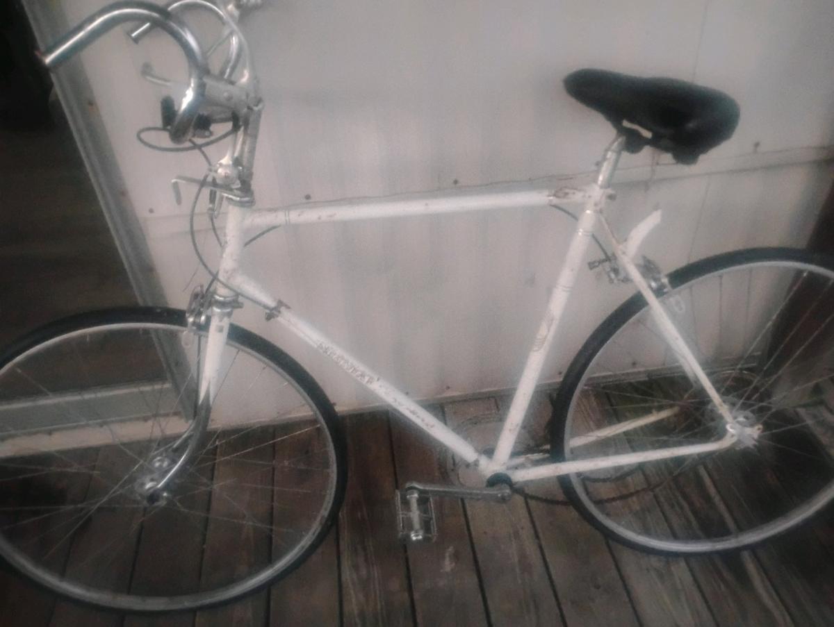 vintage nishiko ten speed needs gear rails one tube and onep - Luttrell, Tennessee - FleaMarketBay