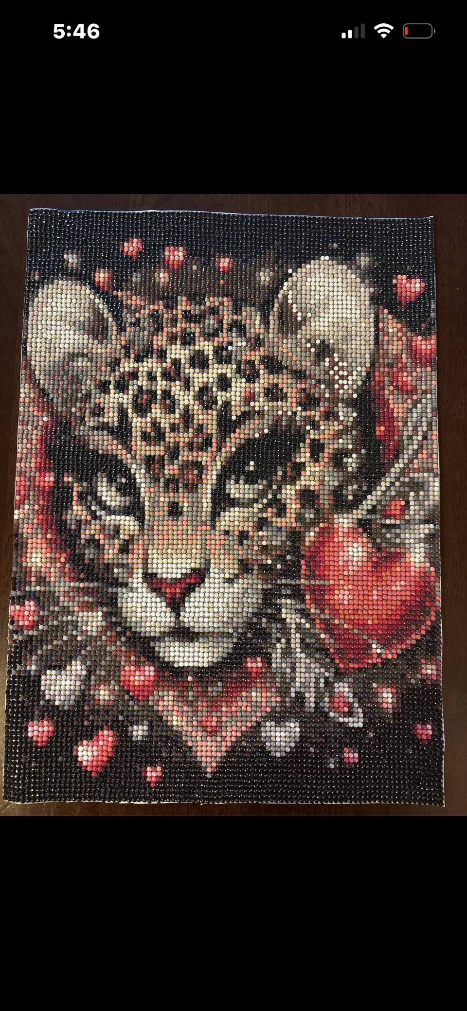 Diamond Art Completed Paintings - Unframed - Las Vegas, Nevada - FleaMarketBay
