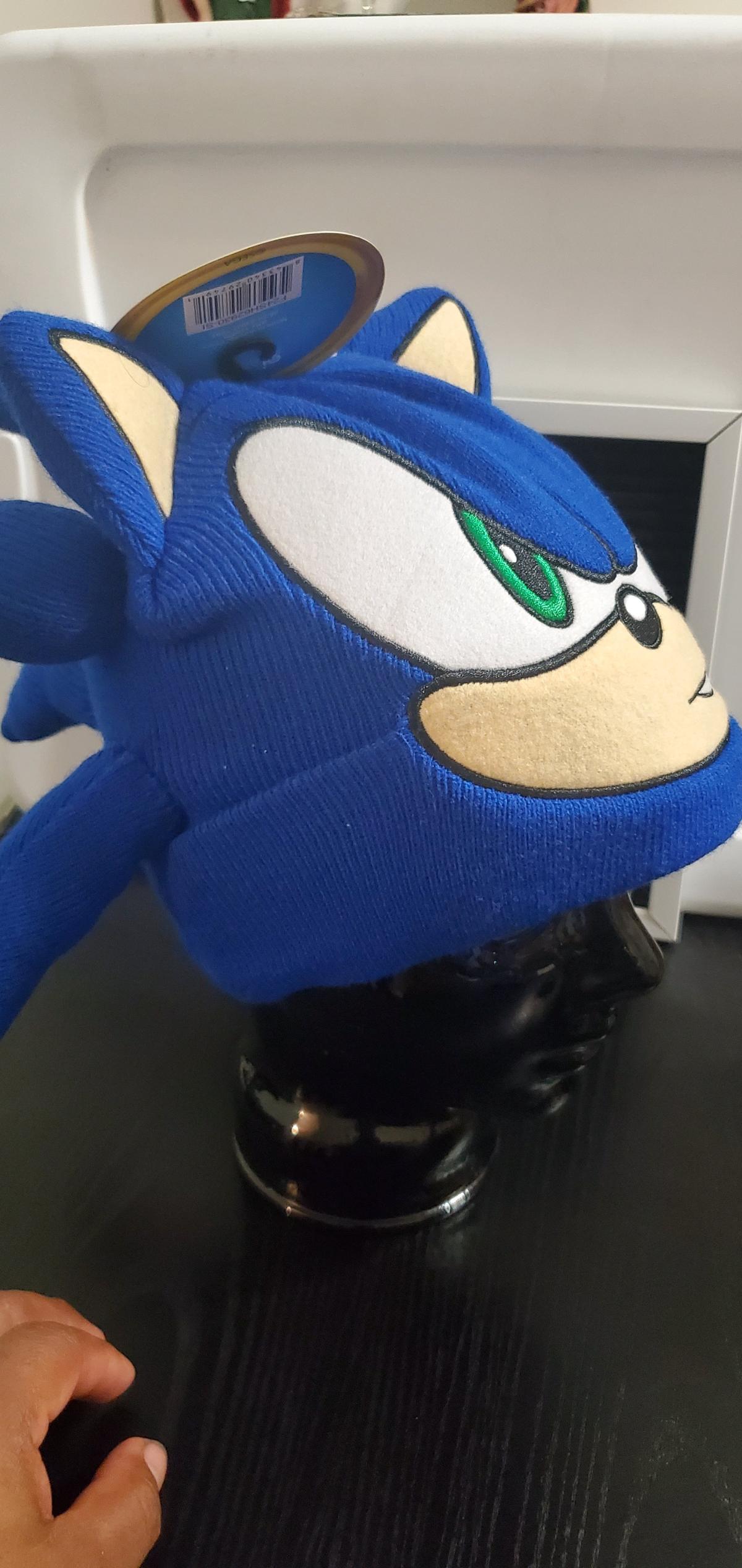 Sonic the Hedgehog Blue Knit Beanie Hat - Ozone Park, New York - FleaMarketBay