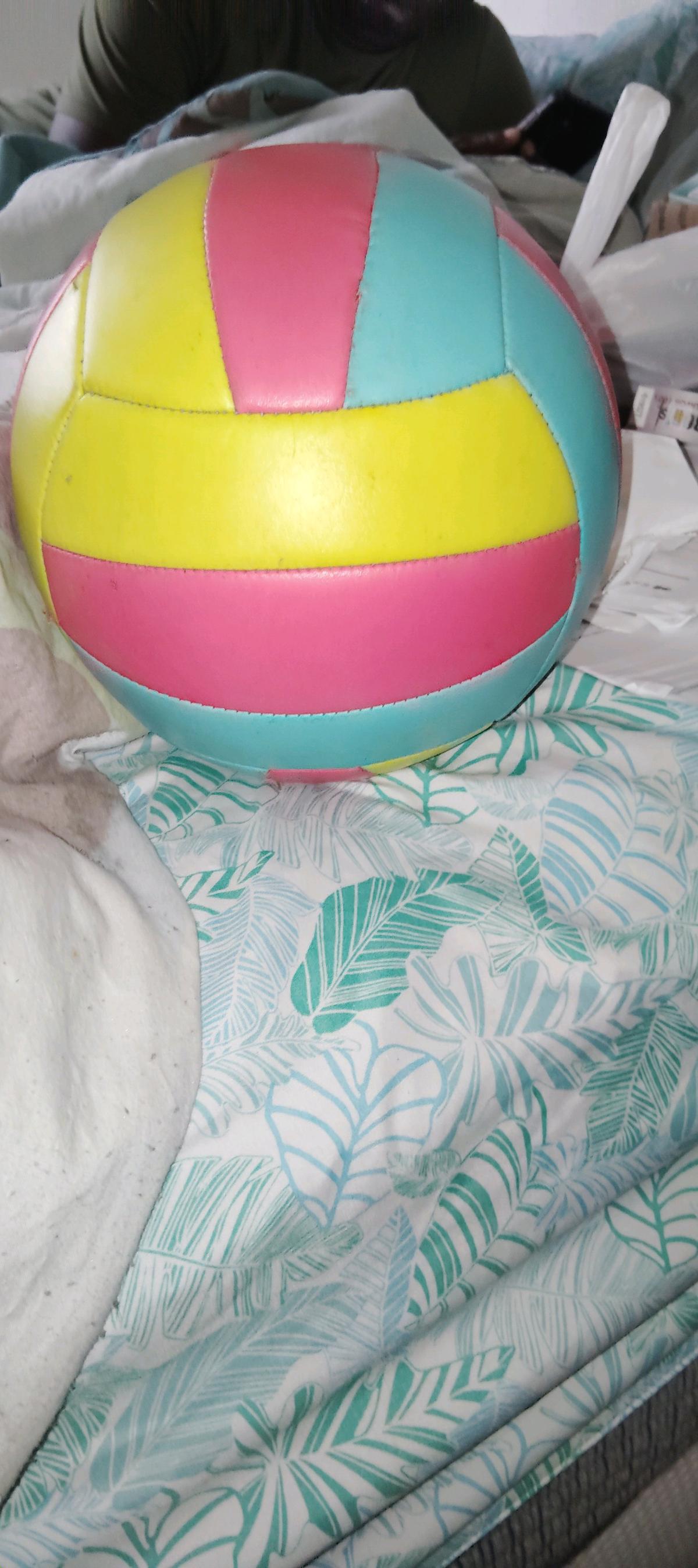 multi colored Premium Volleyball - Sanford, Florida - FleaMarketBay