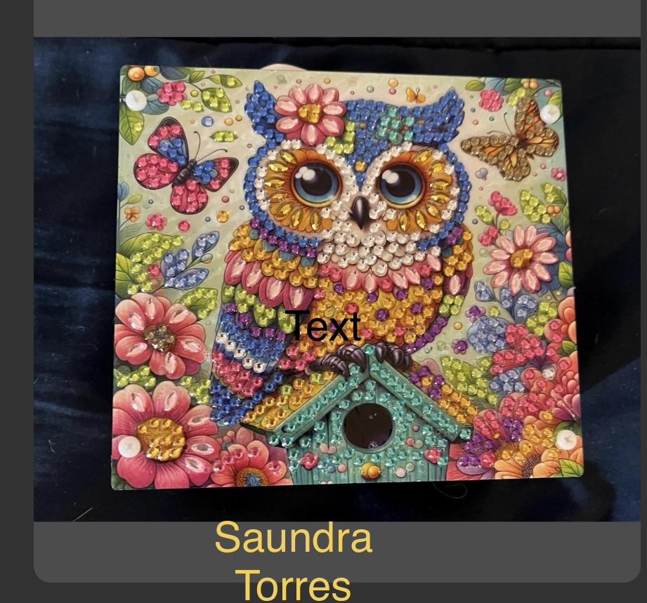 Handcrafted Diamond Art Owl Pen/Pencil Holder - , Nevada - FleaMarketBay