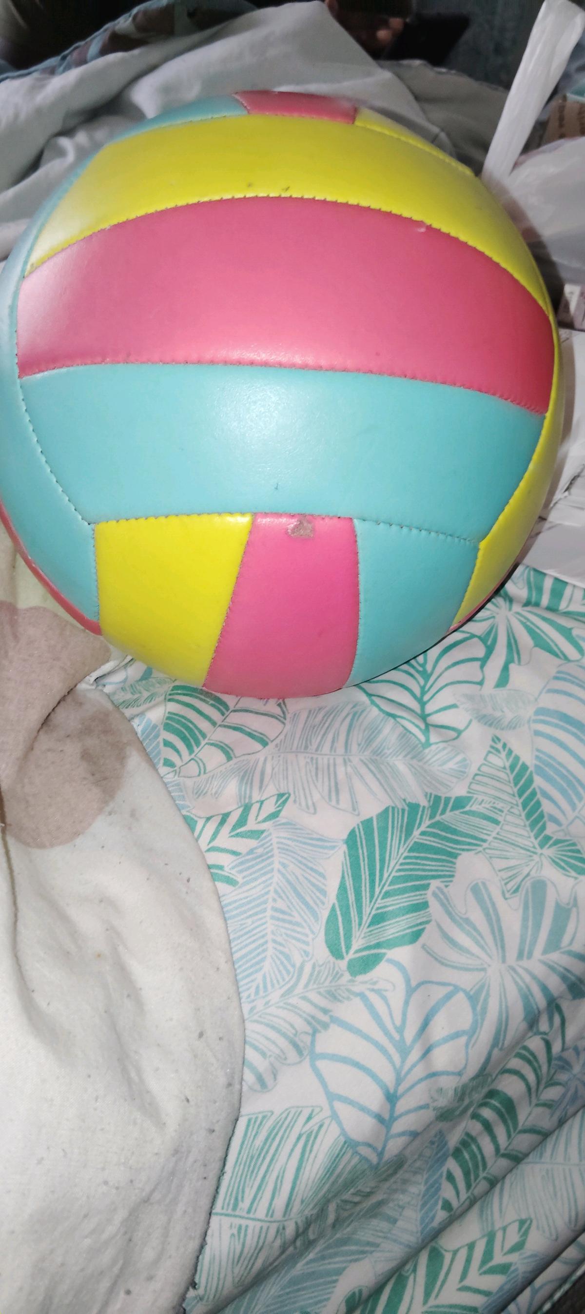 multi colored Premium Volleyball - Sanford, Florida - FleaMarketBay
