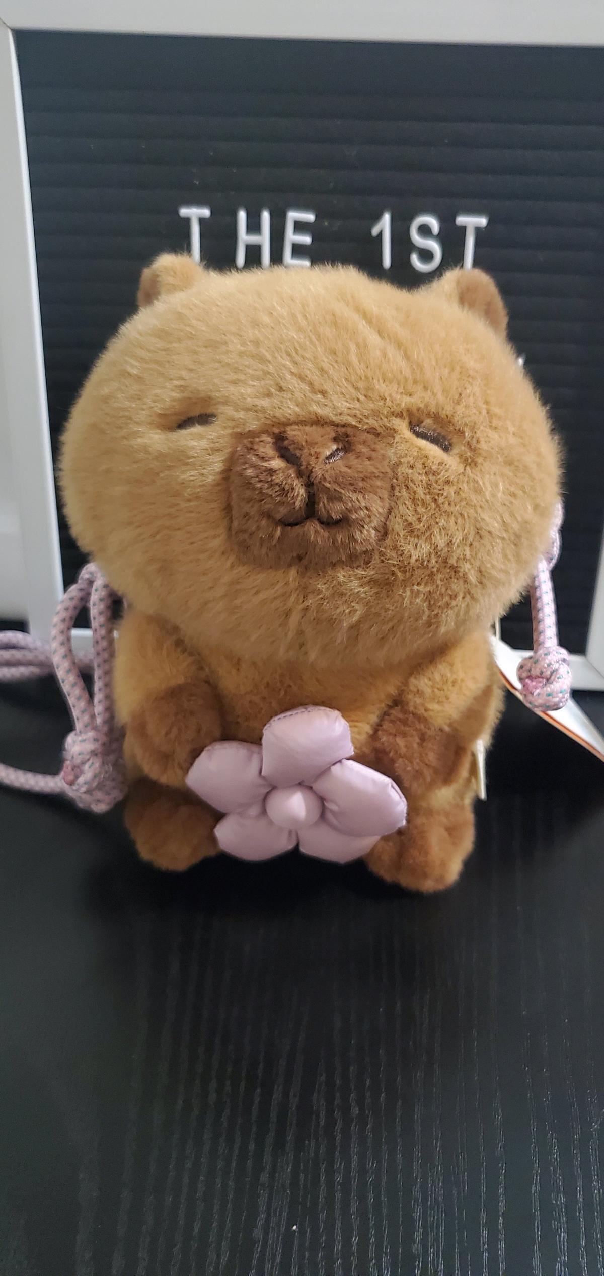 ZARA Capyfun Plush Mini Bag - Ozone Park, New York - FleaMarketBay