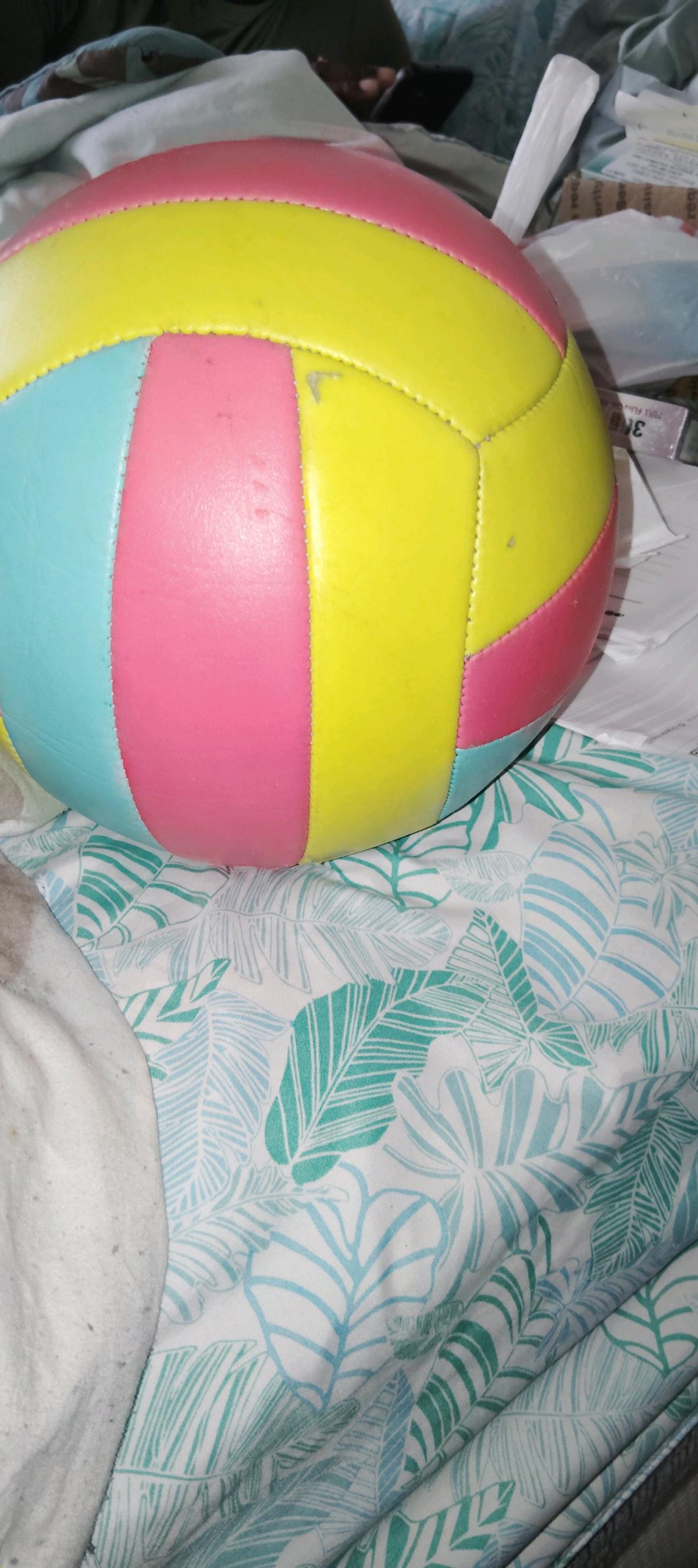multi colored Premium Volleyball - Sanford, Florida - FleaMarketBay