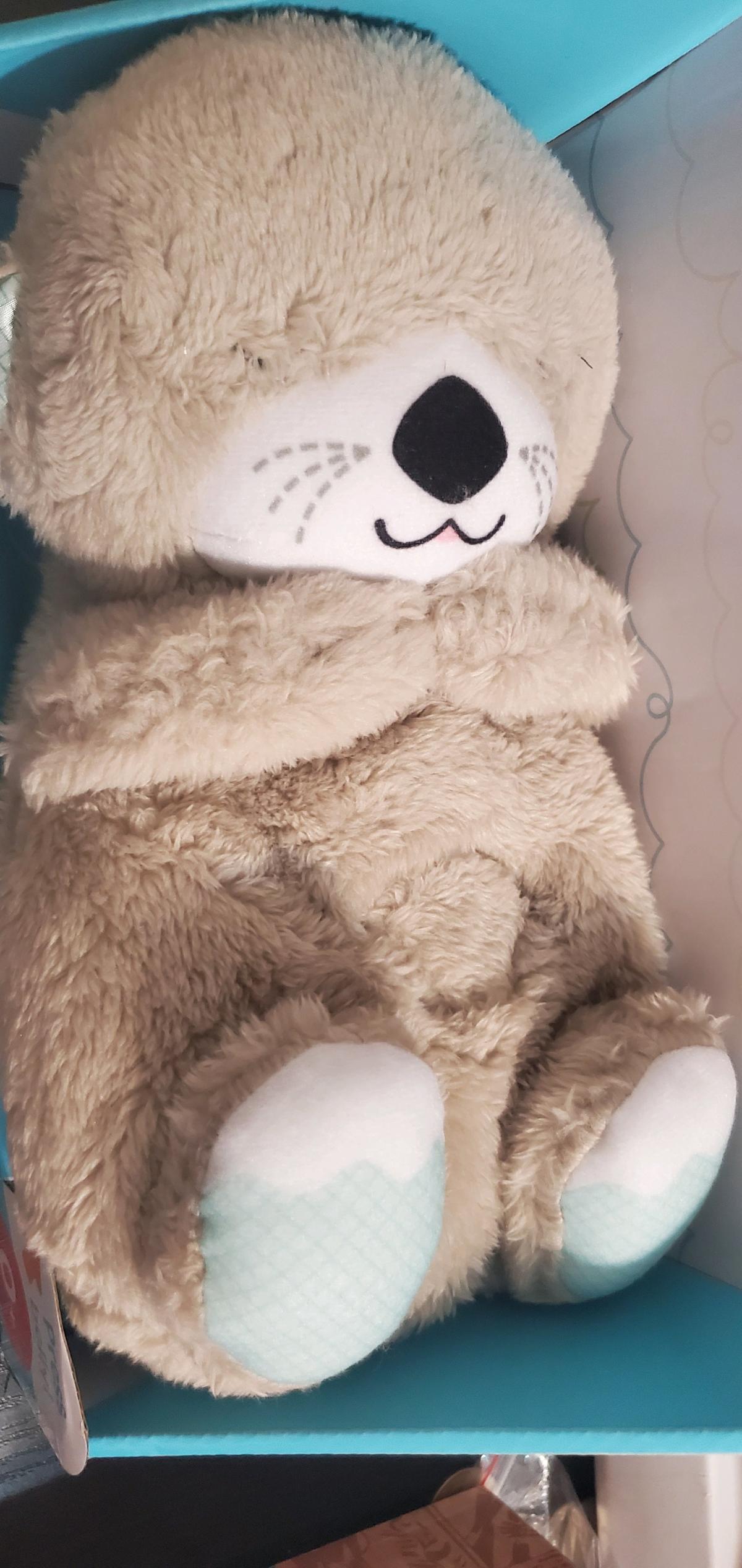 FisherPrice Soothe n Snuggle Otter - Ozone Park, New York - FleaMarketBay