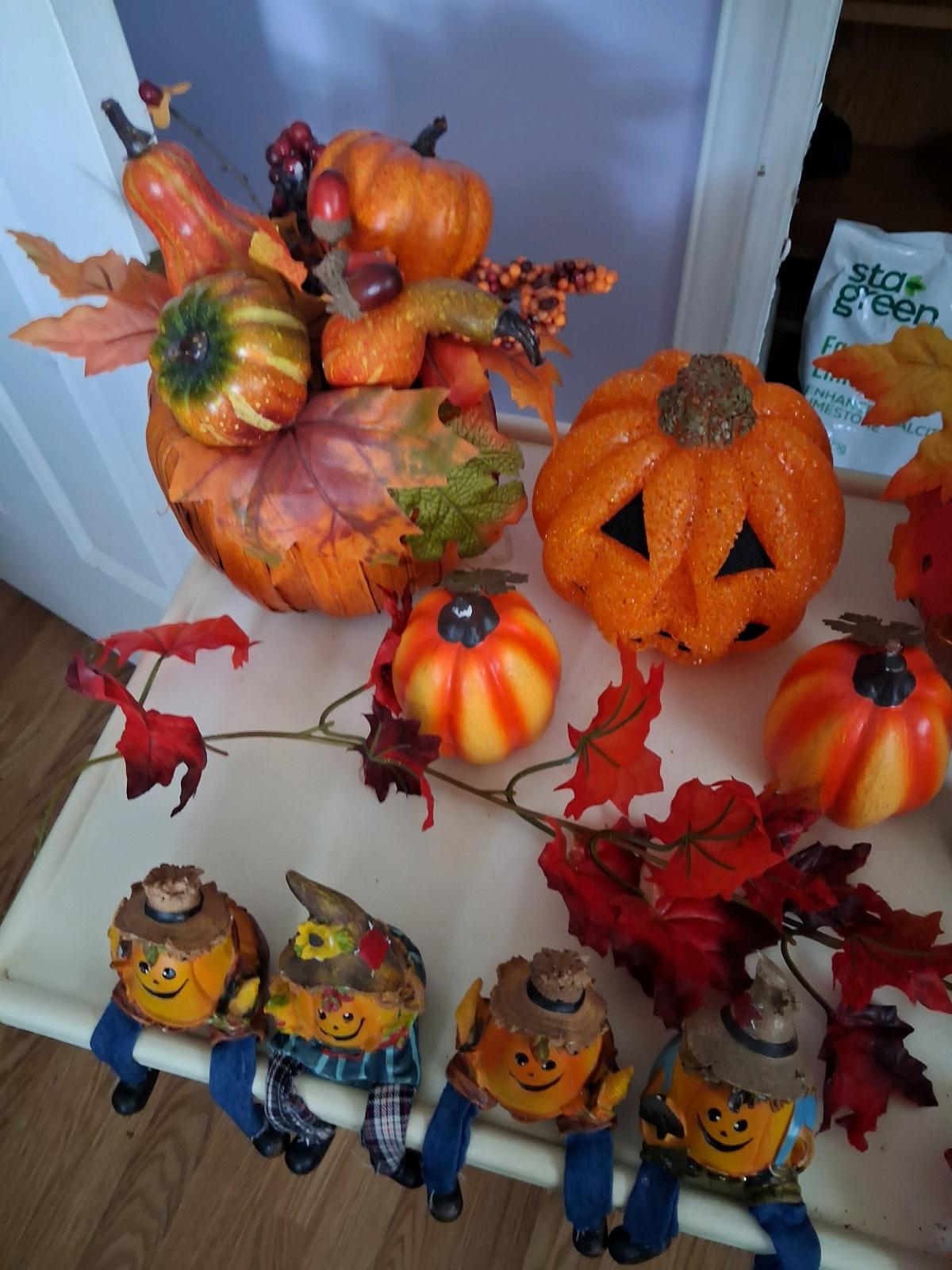 11 pcs pumpkin fall decor bundle - Hudson, Florida - FleaMarketBay