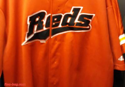 sports stuff - Thumbnail 4