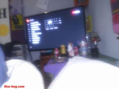 Panasonic 50 inch TV w/remote and basic Dvd player - Acworth, Georgia