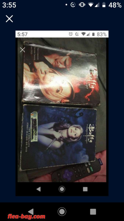 Buffy the vampire slayer series