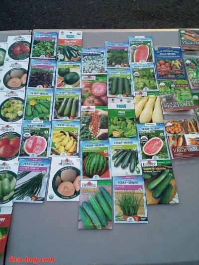 25 pk.VEGETABLES HERBS FRUITS AND FLOWERS SEEDS - Thumbnail 6