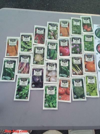 25 pk.VEGETABLES HERBS FRUITS AND FLOWERS SEEDS - Thumbnail 4