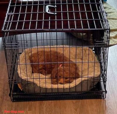 looking for serious buyer - Thumbnail 4