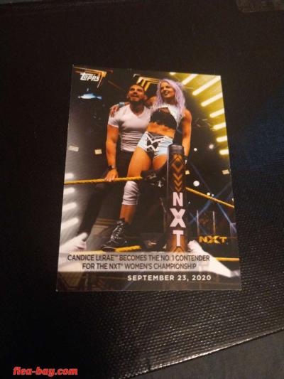 wrestling trading card