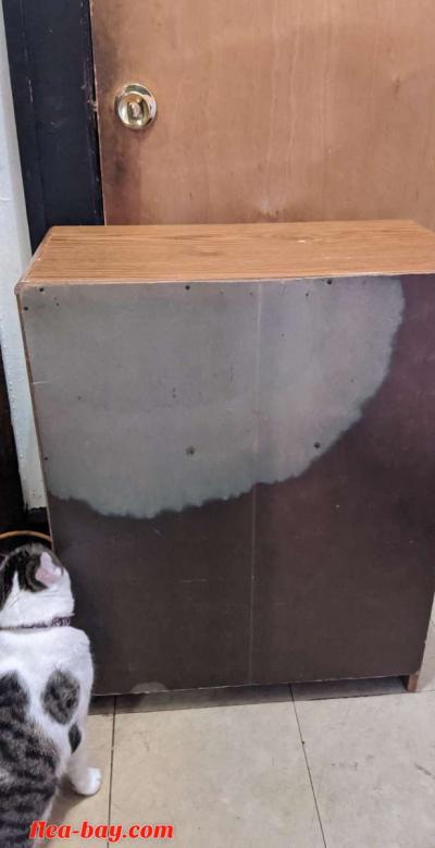 Cabinet - Thumbnail 2