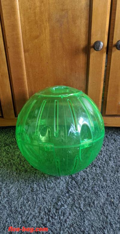 Rodent Exercise ball