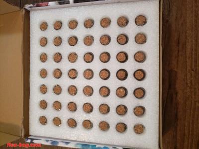 Stones - Thumbnail 3