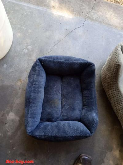 dog bed