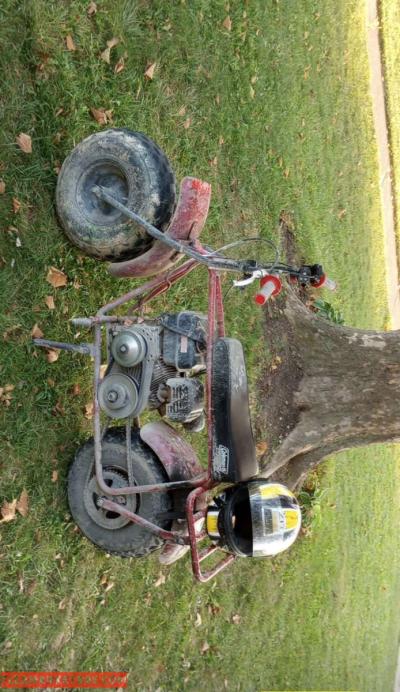 212cc Colman mini bike - Thumbnail 3