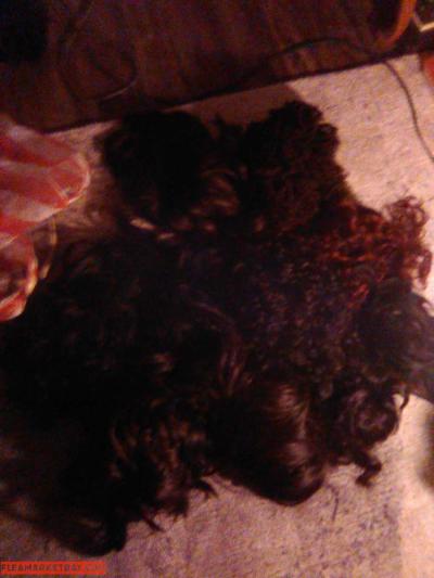 ladies wigs - Thumbnail 2