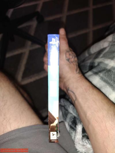 Steal Edition Saints Row Self Made New PS4 - Thumbnail 2