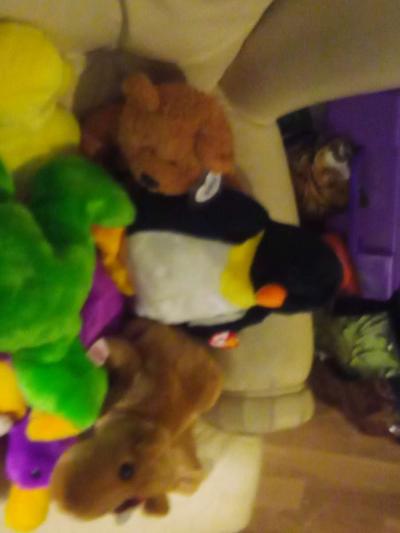 there a lot of beanies baby's here so if you need one contac - Thumbnail 3