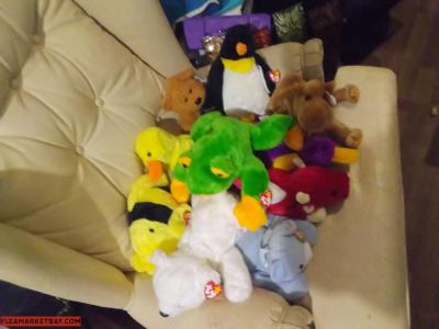 there a lot of beanies baby's here so if you need one contac - Thumbnail 2