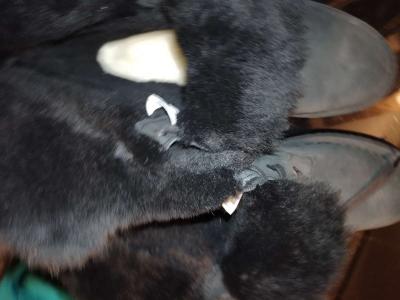 WOMENS UGG BOOTS size 7 - Thumbnail 3