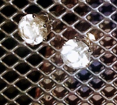 Assortment of Fashion Earrings - Thumbnail 3