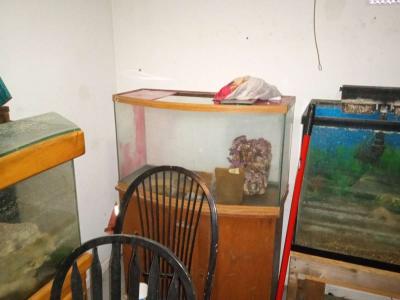 multiple fish tanks - Thumbnail 4