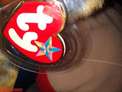 ty beanie buddies 2000 Clubby 111 the Bear w tags - Thumbnail 2