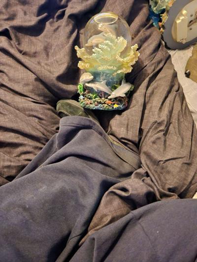 smaller dolphin globe - Thumbnail 3