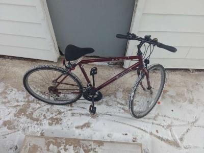 brand new free spirit eagle point 10 speed mountain bike