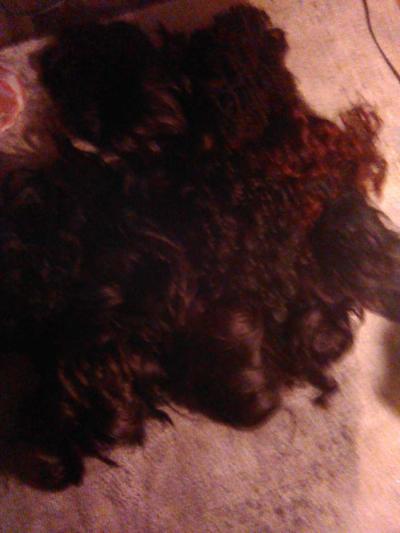 ladies wigs - Houston, Texas