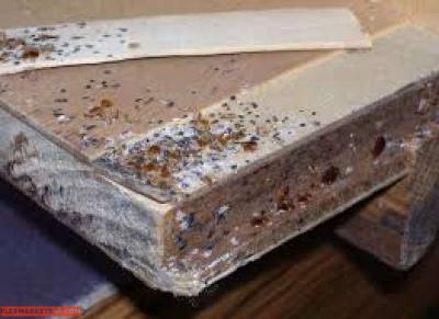 exterminating - Thumbnail 2