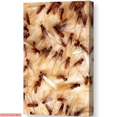 best deals - Thumbnail 2