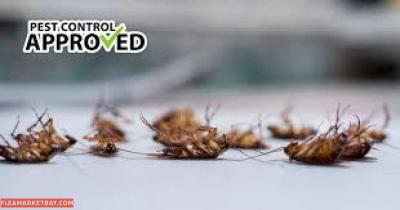 services for termites roaches bed bugs - Thumbnail 2